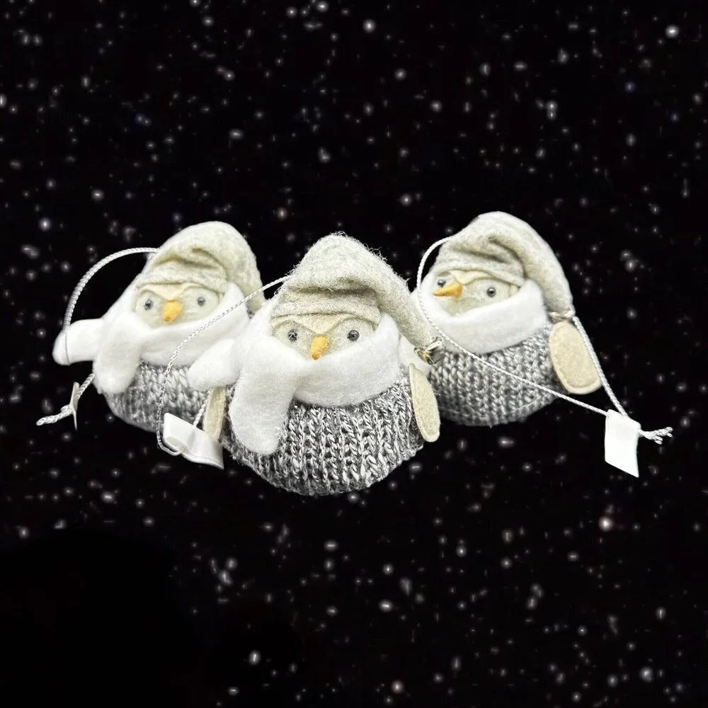 Wondershop 2022 Christmas Bird Ornaments from Target Wondershop 3‎ Set 3”T